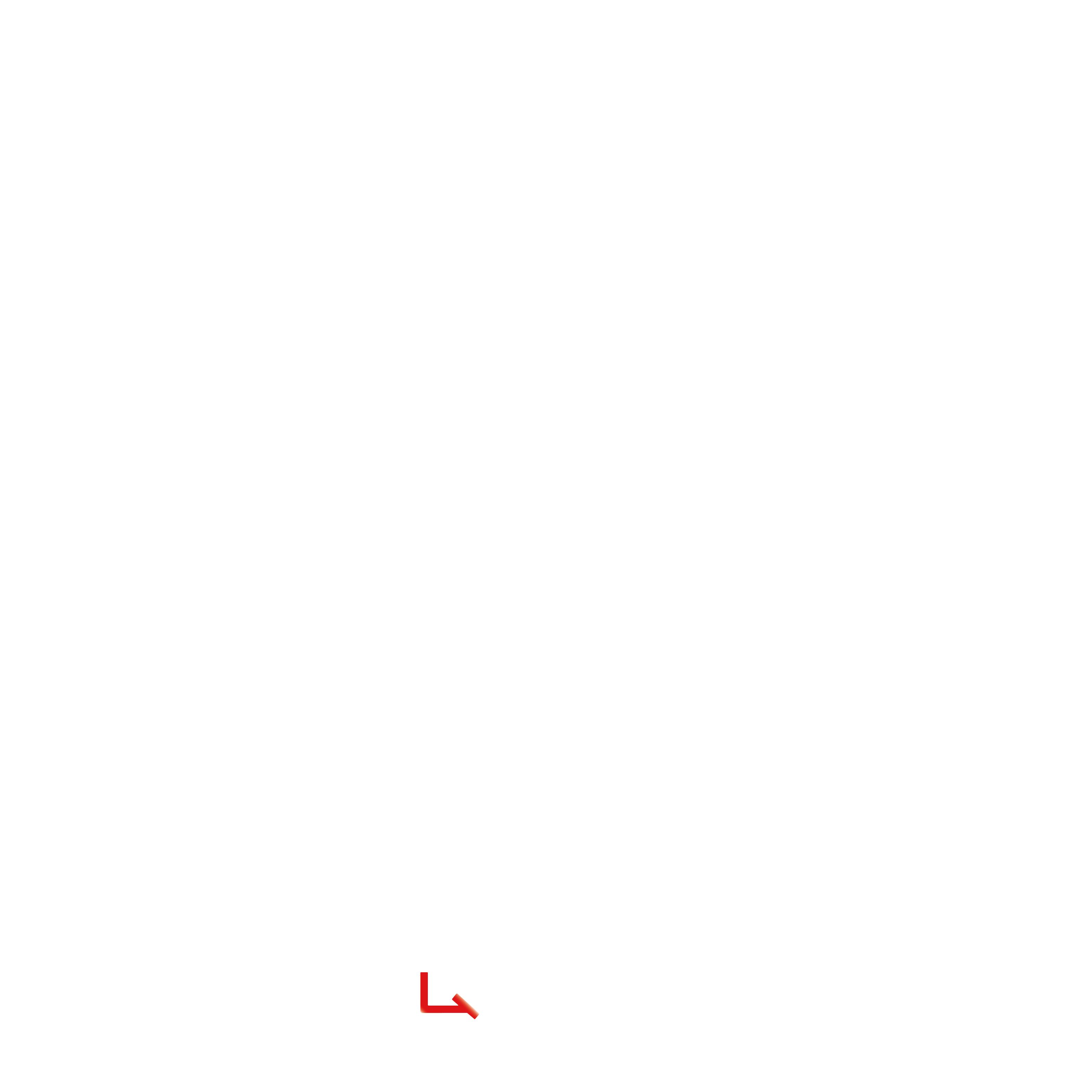 Home Lebensbaum Logo White 4